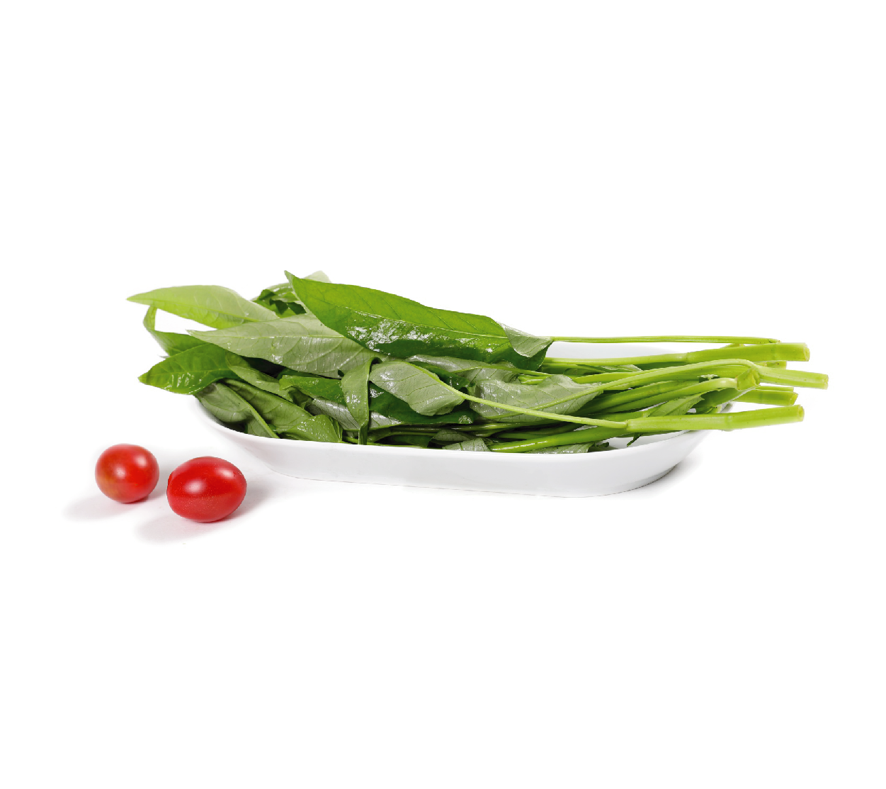 有機(jī)空心菜