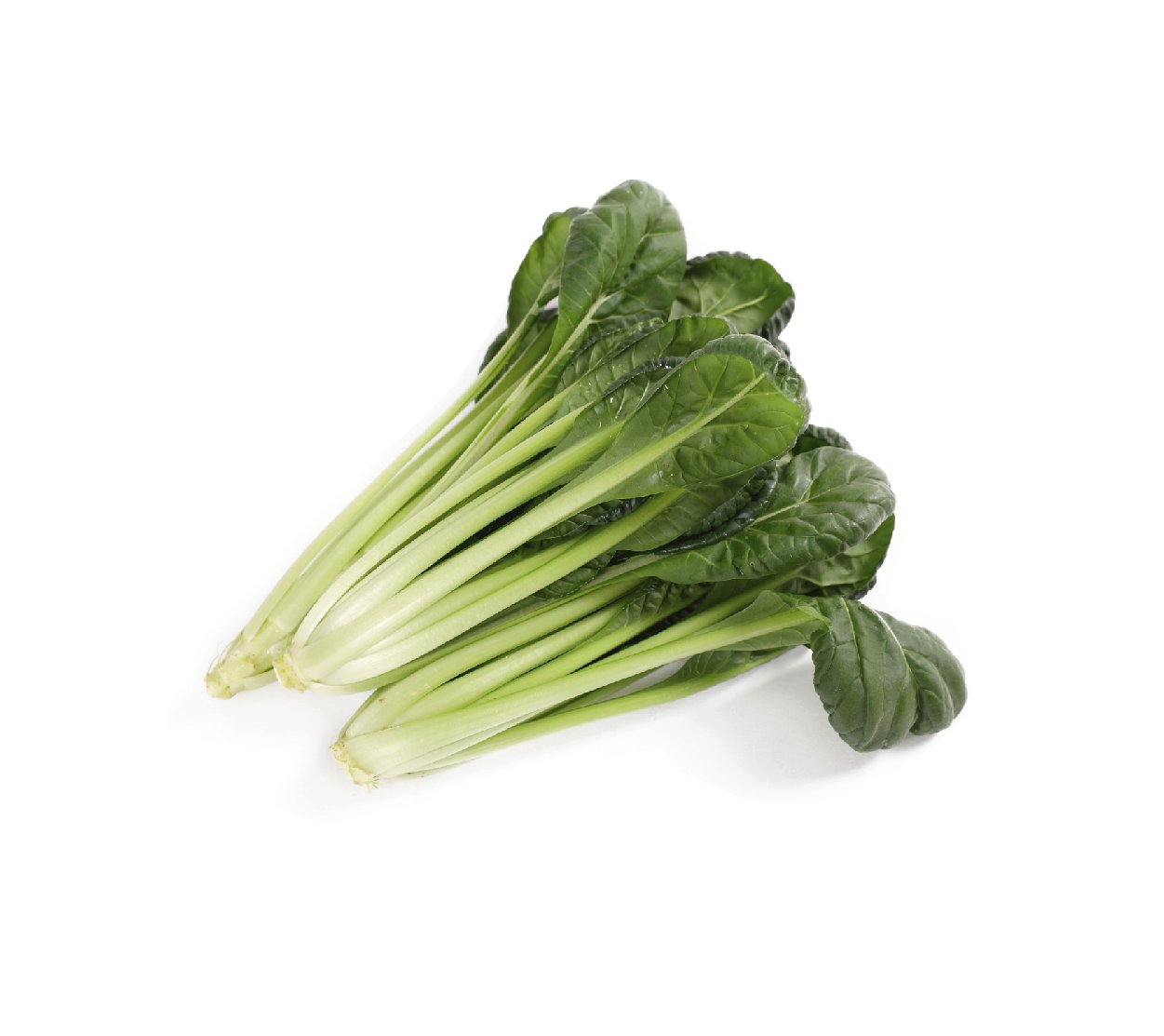 有機(jī)烏塌菜