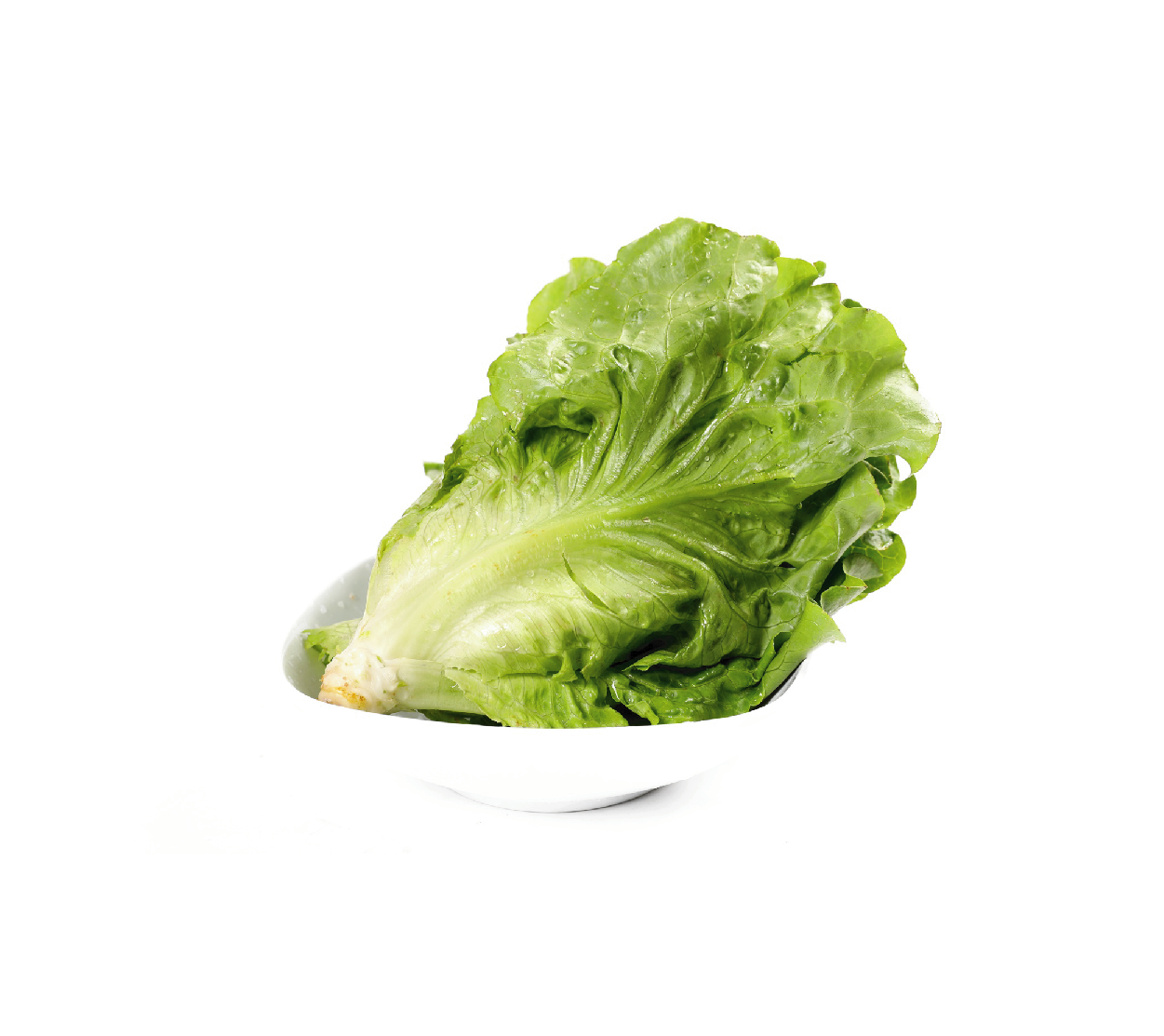 有機(jī)葉生菜